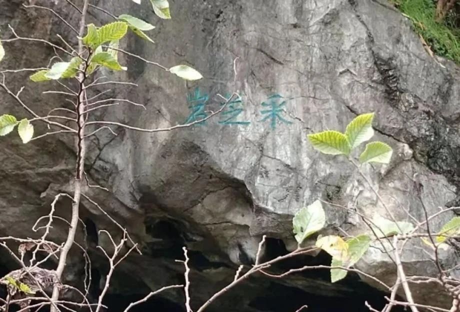 微信图片_20250430093125.jpg