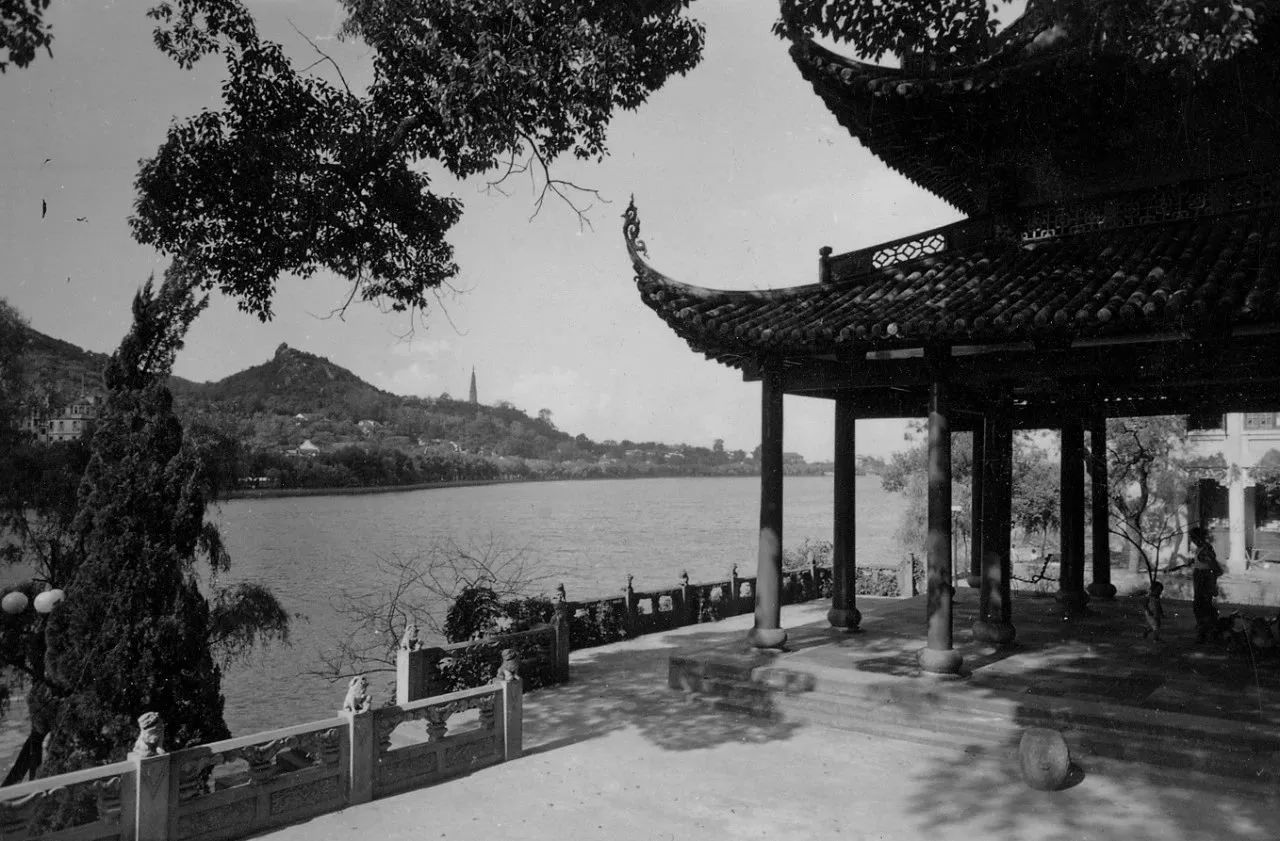 微信图片_2025-06-24_095212_851.jpg