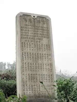 微信图片_2025-09-18_095447_294.jpg