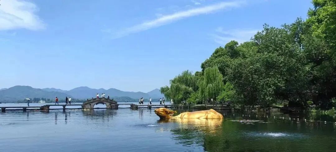 微信图片_2025-12-08_094236_890.jpg 微信图片_2025-12-08_094236_890.jpg