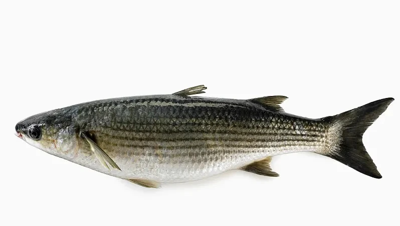 微信图片_2025-12-18_105601_854.png 微信图片_2025-12-18_105601_854.png