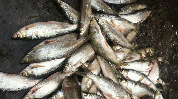 微信图片_2025-12-18_105612_605.png 微信图片_2025-12-18_105612_605.png