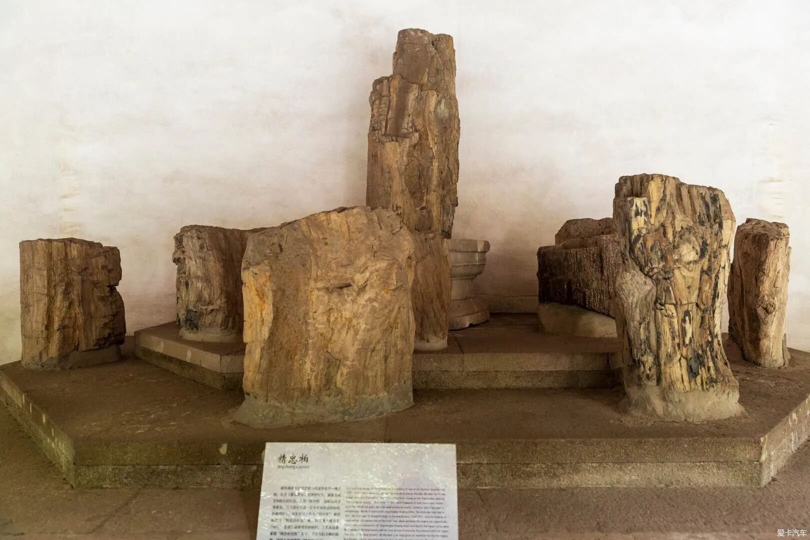 微信图片_2026-01-27_095800_557.jpg 微信图片_2026-01-27_095800_557.jpg